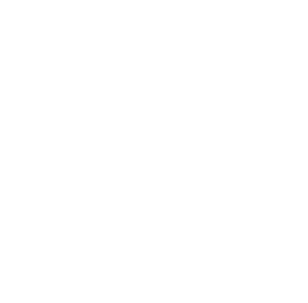 Casa Hirsch Avrig
