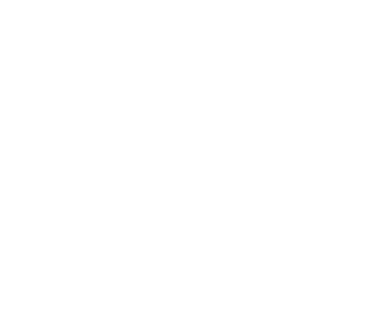 Survey Company MD