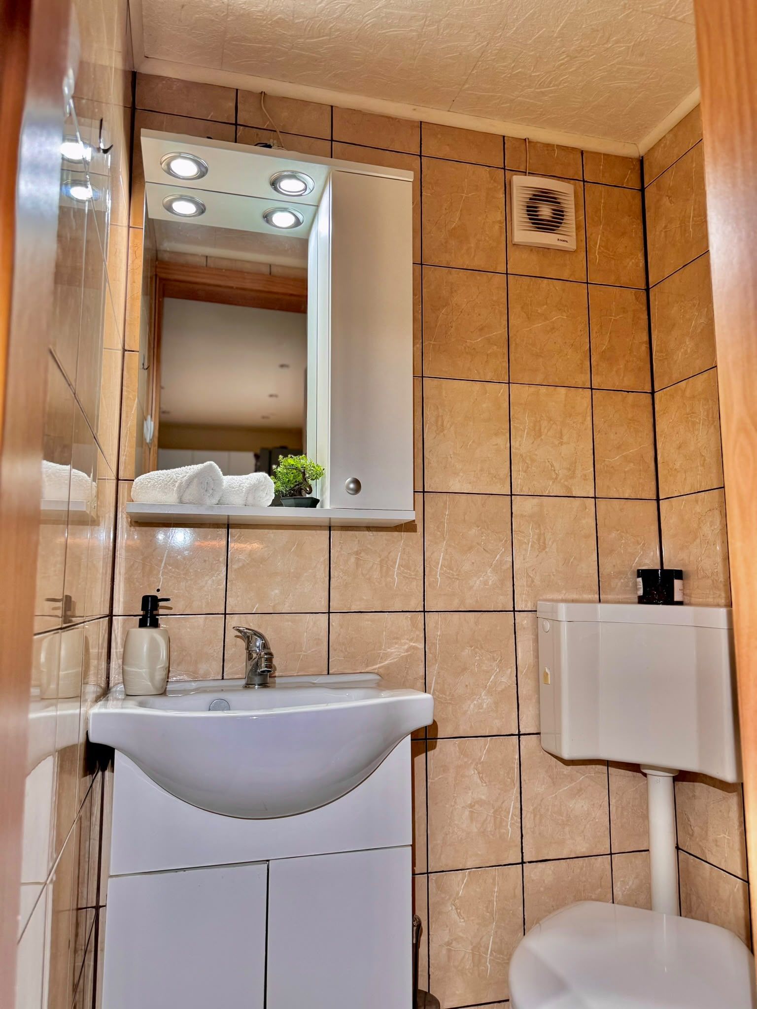 Apartament generos cu 2 camere, curte proprie – Strada Podului, Sibiu - foto 9
