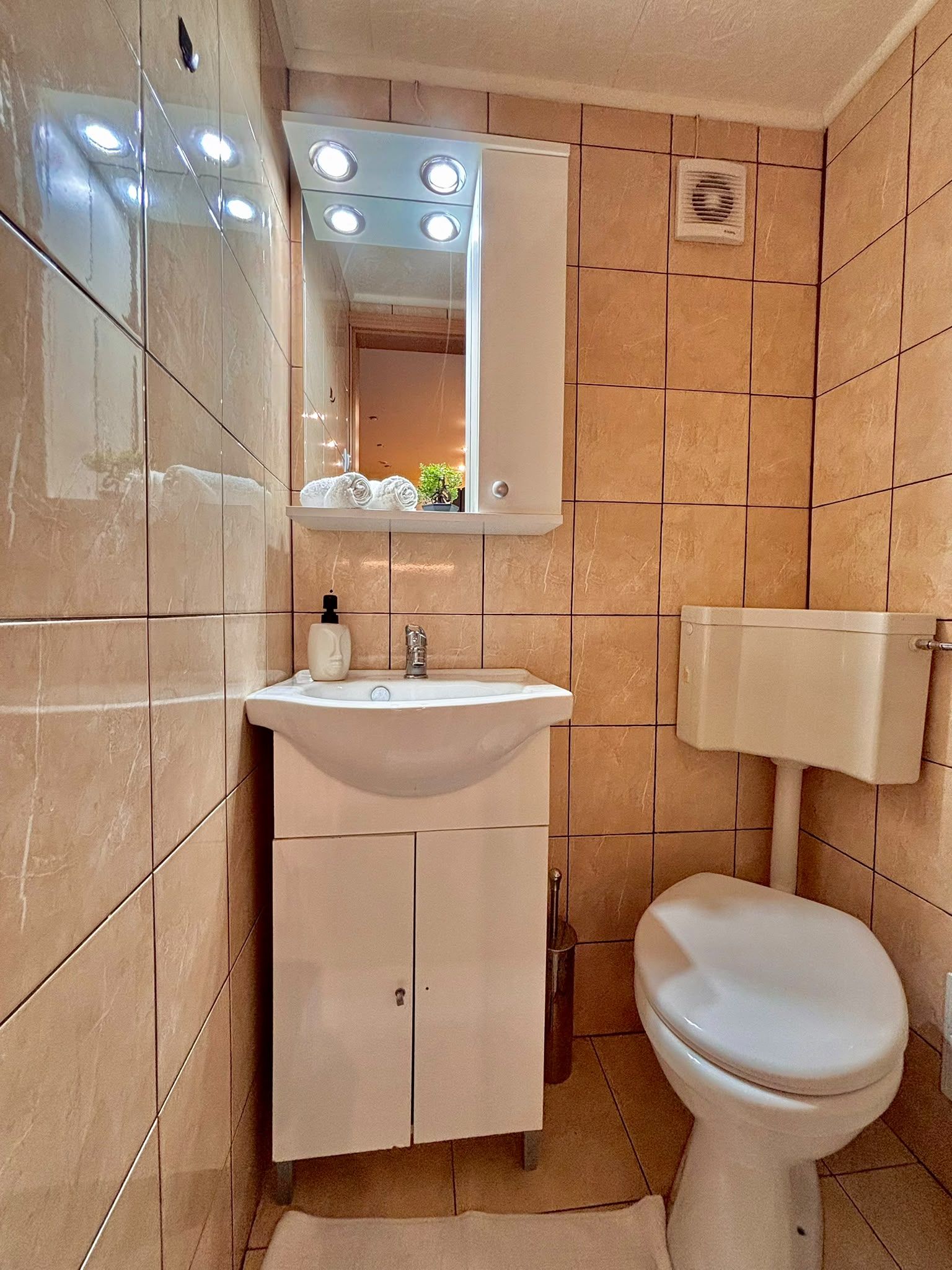 Apartament generos cu 2 camere, curte proprie – Strada Podului, Sibiu - foto 10