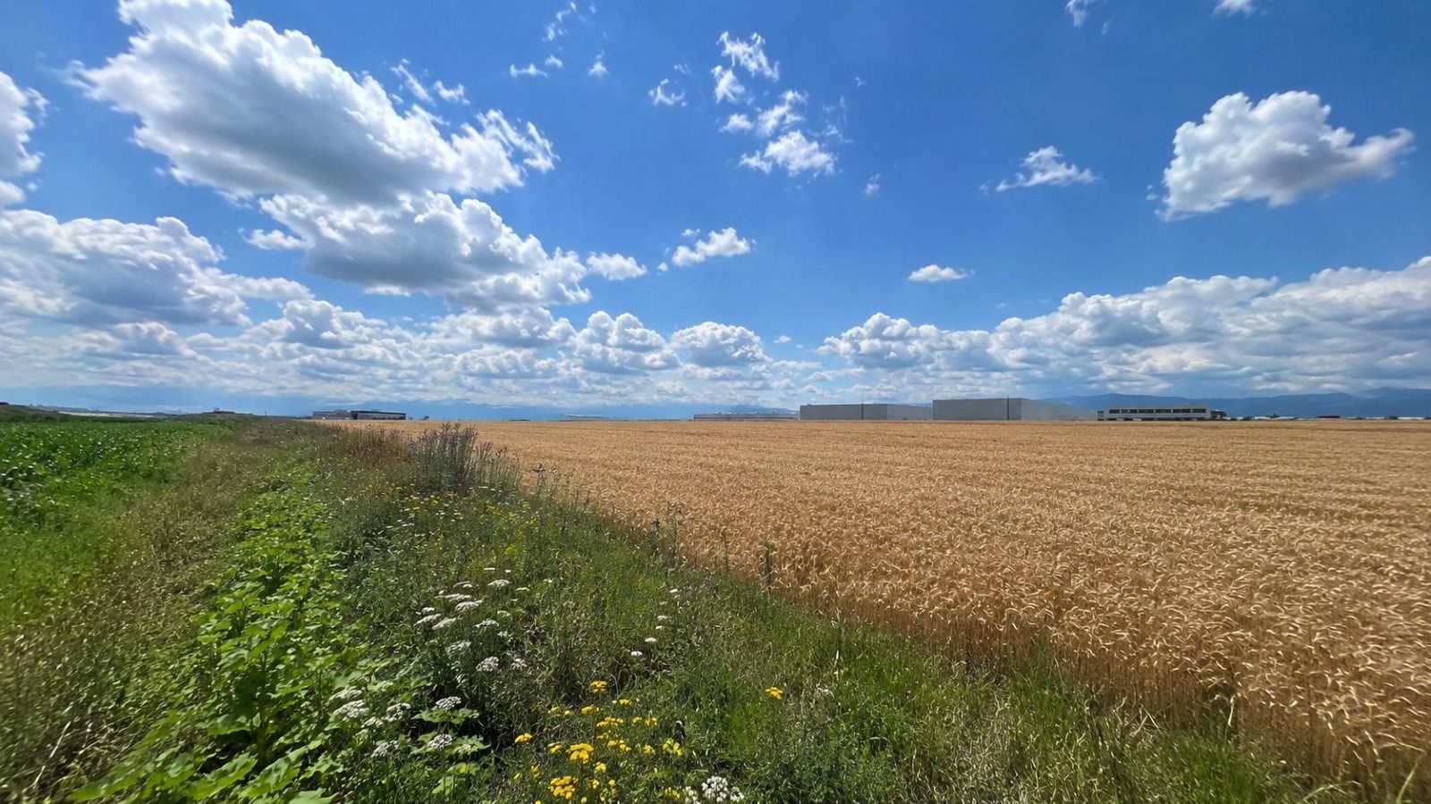 Teren intravilan 38.676 mp | 10 parcele | Zona de Vest - foto 2